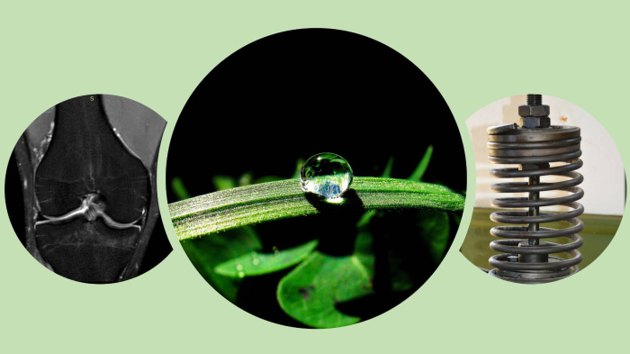 Uszkodzenia chrzastki stawowej - co warto wiedziec?